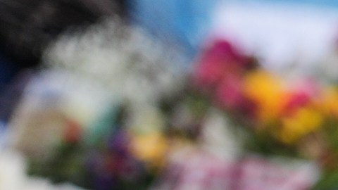 Se han producido contradicciones en posturas republicanas tras la muerte de Pretti.