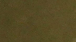 Stephen Miller, asesor de Trump, se refirió a Pretti como "un asesino", tras ser baleado por oficiales de ICE.