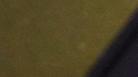 Stephen Miller, asesor de Trump, se refirió a Pretti como "un asesino", tras ser baleado por oficiales de ICE.