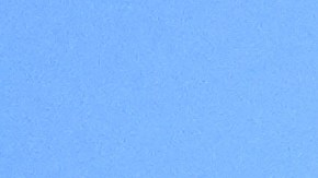 La decisión fue emitida este miércoles mediante una Orden de Restricción Temporal (TRO, por sus siglas en inglés).