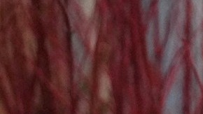 Los operativos de ICE han desatado protestas en varias partes de EE.UU.