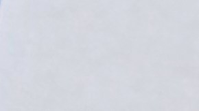 Un documento incluido en la publicación de los archivos de Epstein por parte del DOJ, ilustra a varias personas que manejaron sus asuntos financieros del acusado o que eran cercanas a él