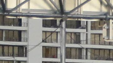 Reportan la muerte de un corredor de 33 años durante el maratón de Miami