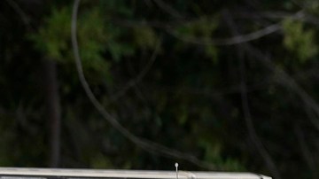 Autoridades de Texas colaboran con oficinas migratorias bajo la Operación Estrella Solitaria.