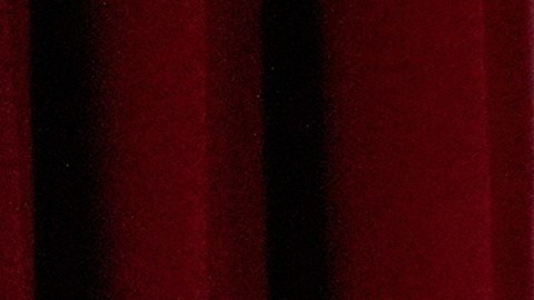 Janelle James y Connor Storrie presentaron a los nominados.