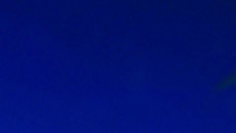 Adamari López, presentadora de televisión.