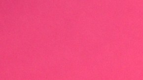 Adamari López, presentadora puertorriqueña de televisión.