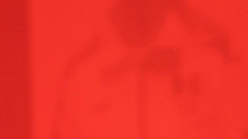 Adamari López, presentadora puertorriqueña de televisión.