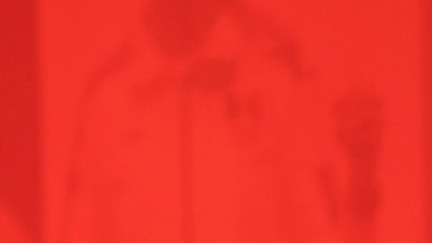 Adamari López, presentadora puertorriqueña de televisión.