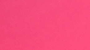 Adamari López, presentadora de TV.