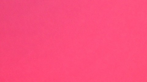 Adamari López, presentadora de TV.