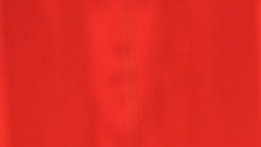 Adamari López, presentadora puertorriqueña de televisión.