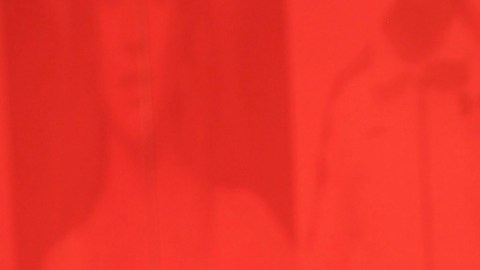 Adamari López, presentadora puertorriqueña de televisión.