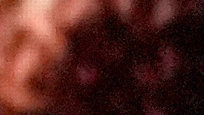 El elenco de "Adolescence' recibe el premio como Mejor Serie Limitada.