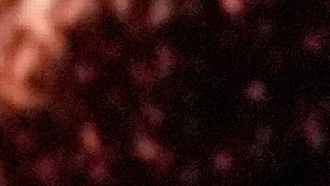 El elenco de "Adolescence' recibe el premio como Mejor Serie Limitada.