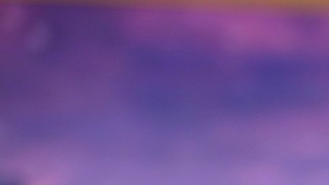 Alaïa y Adamari López hablan de ¿Quién Caerá? Kids.