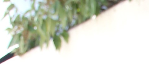 Aleska Génesis, modelo venezolana.