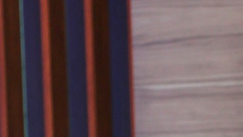 Aleska Génesis, modelo venezolana, habla de su romance pasado con Luca Onestini.