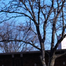 Quién era Alex Pretti, el enfermero muerto tras disparo de agentes federales en Minneapolis