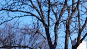 Quién era Alex Pretti, el enfermero muerto tras disparo de agentes federales en Minneapolis