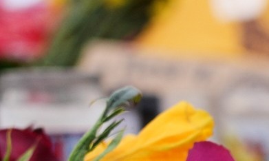 DHS informa al Congreso que dos oficiales federales dispararon en el enfrentamiento que mató a Alex Pretti en Minneapolis