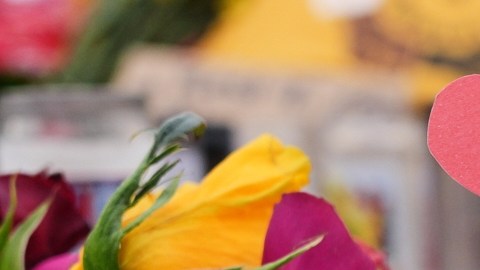 DHS informa al Congreso que dos oficiales federales dispararon en el enfrentamiento que mató a Alex Pretti en Minneapolis