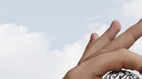 La nutrición cerebral comienza en el mercado: ingredientes frescos para potenciar tu agilidad mental.