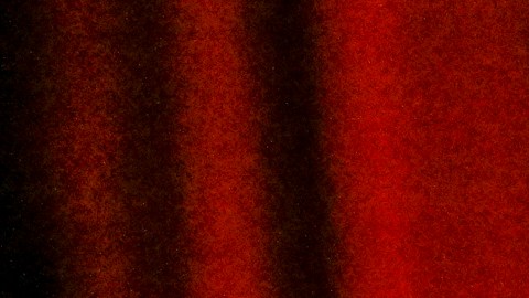 Amy Schumer ya solicitó oficialmente el divorcio a Chris Fischer.