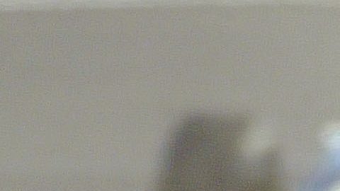 Imagen referencial de un monoplaza en una carrera de Antonio Pizzonia.