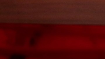 Jorge Lozano, Cecilia Galliano y Lupillo Rivera son los panelistas de ¿Apostarías por mí?