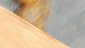 El secreto está en el reposo: tapar el arroz al finalizar la cocción asegura que el grano absorba los aceites esenciales del romero y el tomillo fresco.