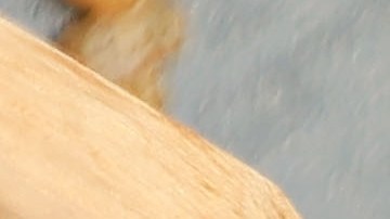 El secreto está en el reposo: tapar el arroz al finalizar la cocción asegura que el grano absorba los aceites esenciales del romero y el tomillo fresco.