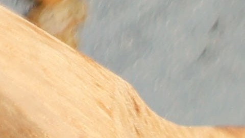 El secreto está en el reposo: tapar el arroz al finalizar la cocción asegura que el grano absorba los aceites esenciales del romero y el tomillo fresco.