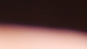 El atún enlatado trasciende al sándwich tradicional, convirtiéndose en la proteína estrella de ensaladas gourmet