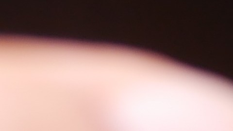 El atún enlatado trasciende al sándwich tradicional, convirtiéndose en la proteína estrella de ensaladas gourmet