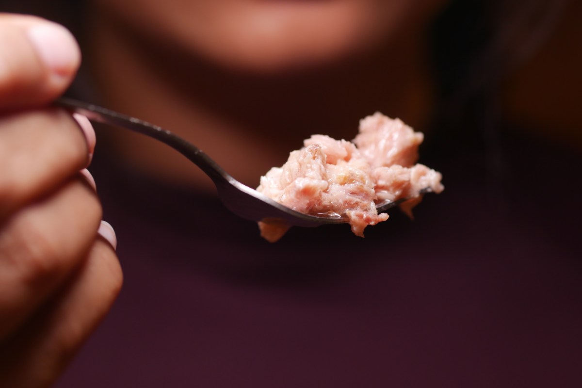 El atún enlatado: Un superalimento versátil rodeado de mitos