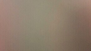 Aubrey Plaza y Jeff Baena compraron esta casa en 2022.