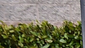 Los integrantes de BTS ya cumplieron con el servicio militar.