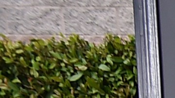 Los integrantes de BTS ya cumplieron con el servicio militar.