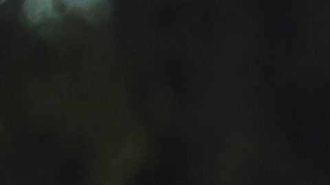 Un culturista muestra sus músculos durante la competencia de culturismo.