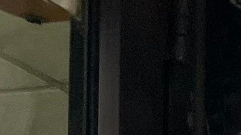 Este sabado 24 de enero arrancan las elecciones especiales en el Distrito 36 de Queens para elegir al sucesor de Mamdani a la Asamblea