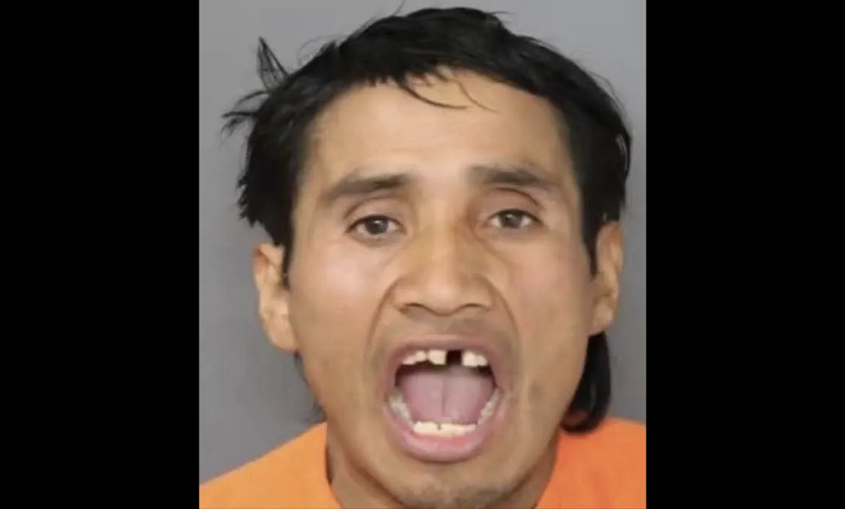 Sujeto que le fracturó el cráneo a una niña de 8 años en un autobús escolar es un migrante irregular, según DHS