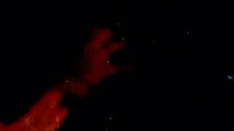 Carmen Salinas, actriz mexicana.