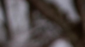 Un plato de crema de nieve, hecha mezclando leche condensada azucarada con nieve fresca, se ve el martes 27 de enero de 2026 en Bow, NH (Foto AP/Holly Ramer)