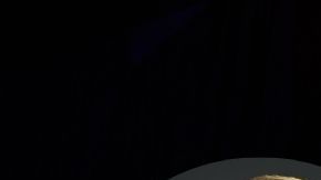 Donald Trump apoya a John Harbaugh.