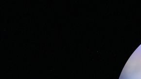 Donald Trump apoya a John Harbaugh.