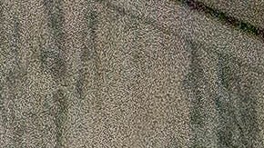 Líderes comunitarios y legisladores estatales se unieron este lunes en Albany para exigir un acuerdo que de luz verde a esta propuesta en 2026.