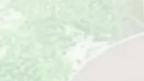 Pese a su liberación, el proceso de deportación contra Díaz sigue activo.