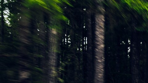 Durante casi medio siglo, la F-150 ha sido el vehículo insignia de Ford.