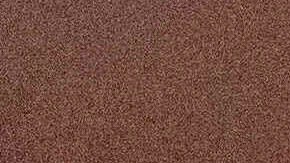 Incendio Los Ángeles